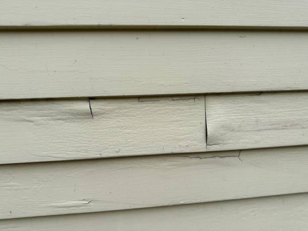 Siding for Commercial Buildings in New Brighton, MN